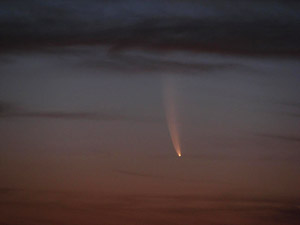 C/2006 P1 McNaught :: Sur Astronmico