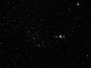 Orion