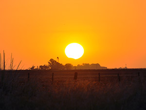 Eclipse Solar Noviembre 2012