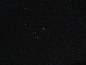 Orion