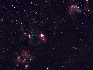 NGC 2077