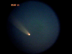 C/2006 P1 McNaught :: Sur Astronmico