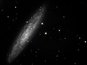 NGC 253