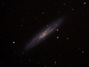 NGC 253