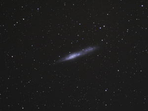 NGC 55