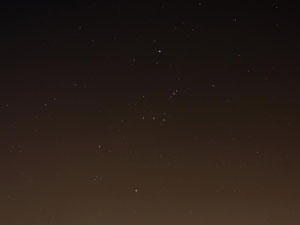 Orion