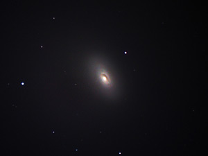 M 64 :: Sur Astronmico