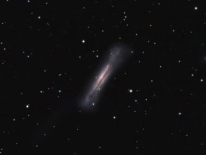 NGC 3628 :: Sur Astronmico