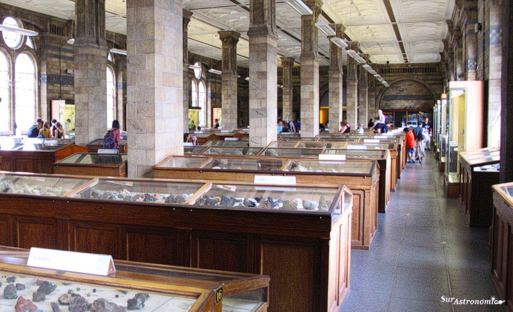 Museo de Historia Natural de Londres